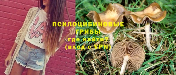 а пвп мука Нягань