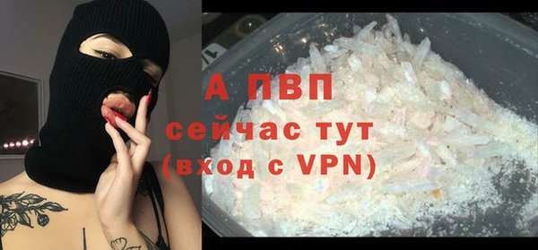 шишки Нязепетровск