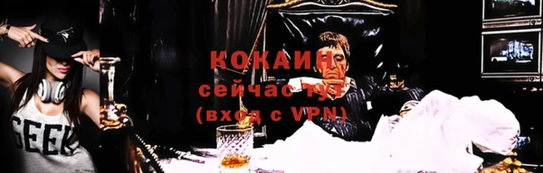 таблы Няндома