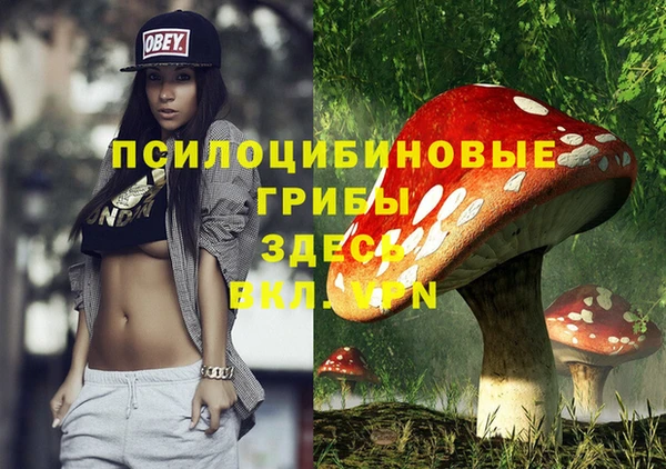 шишки Нязепетровск