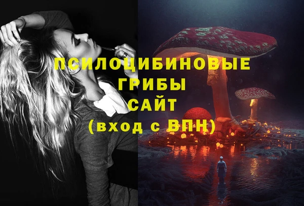 таблы Няндома