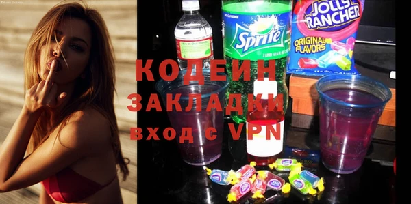 шишки Нязепетровск