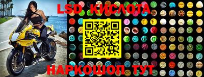 гашик Волгодонск