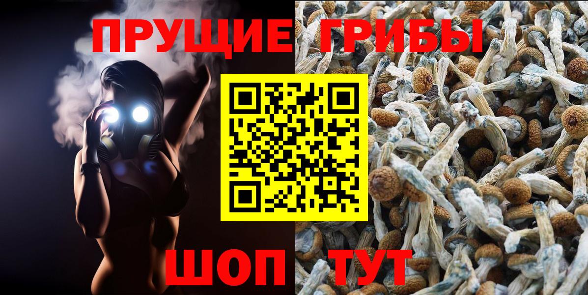 Псилоцибиновые грибы ЛСД  Грязи 
