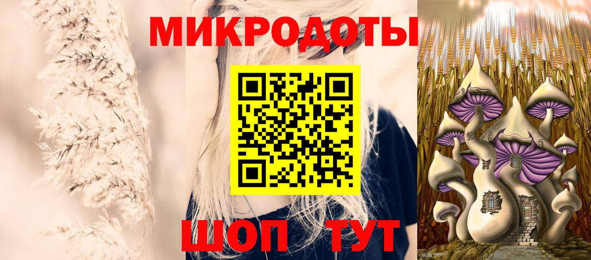 Псилоцибиновые грибы GOLDEN TEACHER Грязи